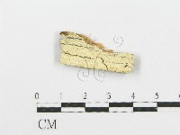 登錄號:F0005740藏品圖，第1張