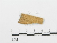 登錄號:F0005740藏品圖，第3張