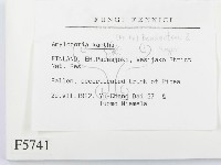 登錄號:F0005741藏品圖，第2張