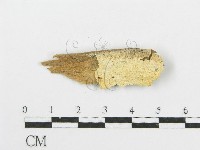 登錄號:F0005741藏品圖，第1張