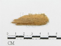 登錄號:F0005741藏品圖，第3張