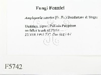 登錄號:F0005742藏品圖，第2張