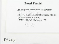 登錄號:F0005743藏品圖，第2張