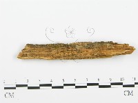 登錄號:F0005743藏品圖，第1張