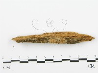 登錄號:F0005743藏品圖，第3張