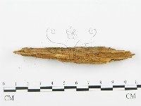 登錄號:F0005743藏品圖，第5張