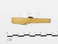 登錄號:F0005744藏品圖，第3張