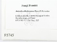 登錄號:F0005745藏品圖，第2張