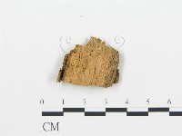 登錄號:F0005745藏品圖，第3張