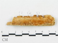 登錄號:F0005746藏品圖，第1張