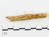 登錄號:F0005746藏品圖，第3張