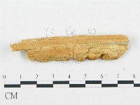 登錄號:F0005746藏品圖，第4張