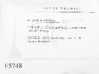 登錄號:F0005748藏品圖，第2張