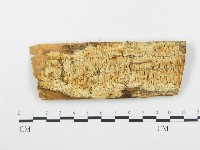 登錄號:F0005748藏品圖，第1張