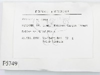 登錄號:F0005749藏品圖，第2張