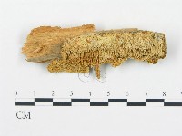 登錄號:F0005749藏品圖，第1張