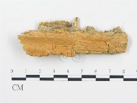 登錄號:F0005749藏品圖，第3張