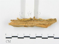 登錄號:F0005749藏品圖，第4張