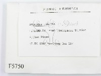 登錄號:F0005750藏品圖，第2張