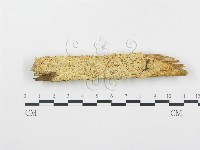 登錄號:F0005750藏品圖，第1張