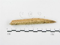 登錄號:F0005750藏品圖，第3張