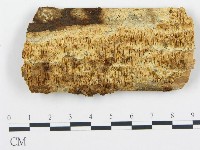 登錄號:F0005751藏品圖，第1張