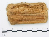 登錄號:F0005751藏品圖，第3張