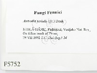 登錄號:F0005752藏品圖，第2張