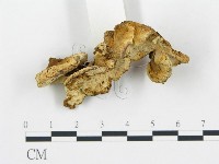 登錄號:F0005752藏品圖，第3張