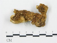 登錄號:F0005752藏品圖，第4張