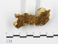 登錄號:F0005752藏品圖，第5張