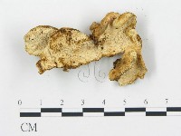 登錄號:F0005752藏品圖，第6張