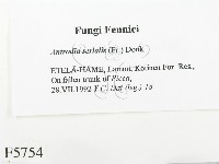 登錄號:F0005754藏品圖，第2張