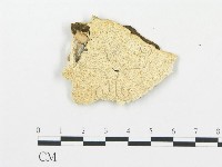 登錄號:F0005754藏品圖，第1張