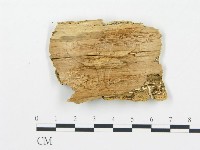 登錄號:F0005755藏品圖，第3張