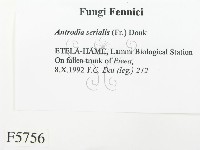 登錄號:F0005756藏品圖，第2張