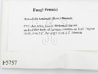 登錄號:F0005757藏品圖，第2張