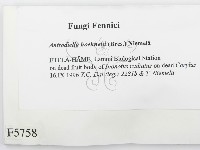 登錄號:F0005758藏品圖，第2張