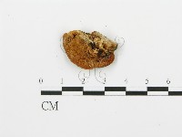 登錄號:F0005758藏品圖，第3張