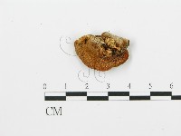 登錄號:F0005758藏品圖，第4張