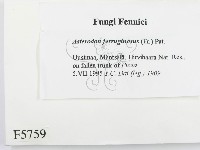 登錄號:F0005759藏品圖，第2張