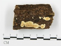 登錄號:F0005760藏品圖，第1張