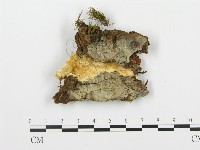 登錄號:F0005761藏品圖，第1張