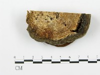 登錄號:F0005763藏品圖，第1張