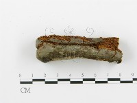 登錄號:F0005763藏品圖，第4張