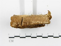 登錄號:F0005763藏品圖，第5張