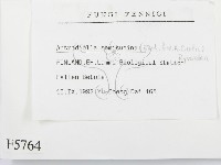 登錄號:F0005764藏品圖，第2張