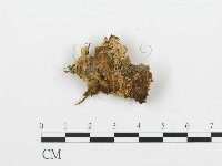 登錄號:F0005764藏品圖，第3張