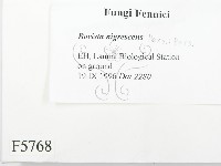 登錄號:F0005768藏品圖，第2張