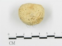 登錄號:F0005768藏品圖，第1張